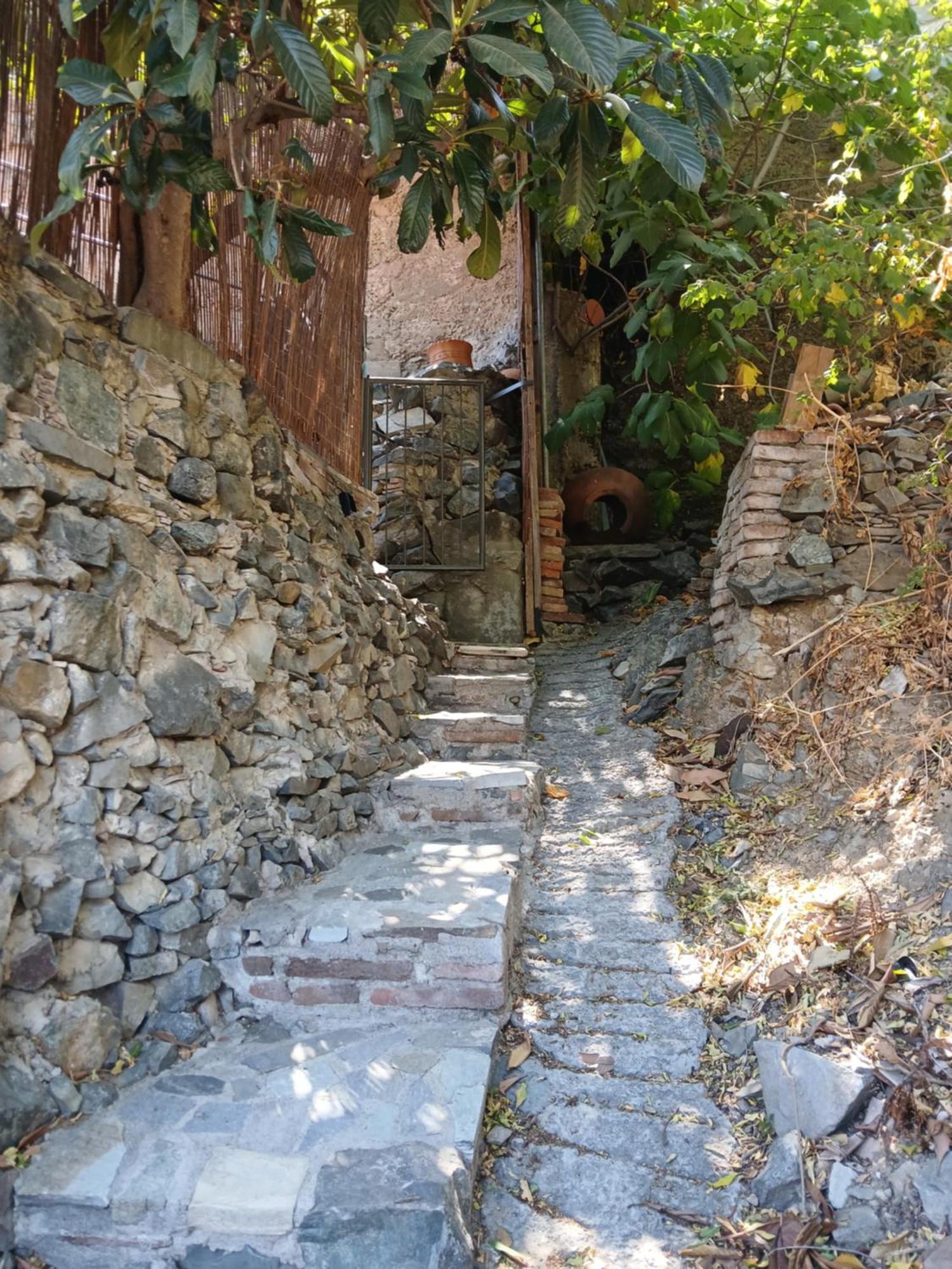 George's House * Аскас